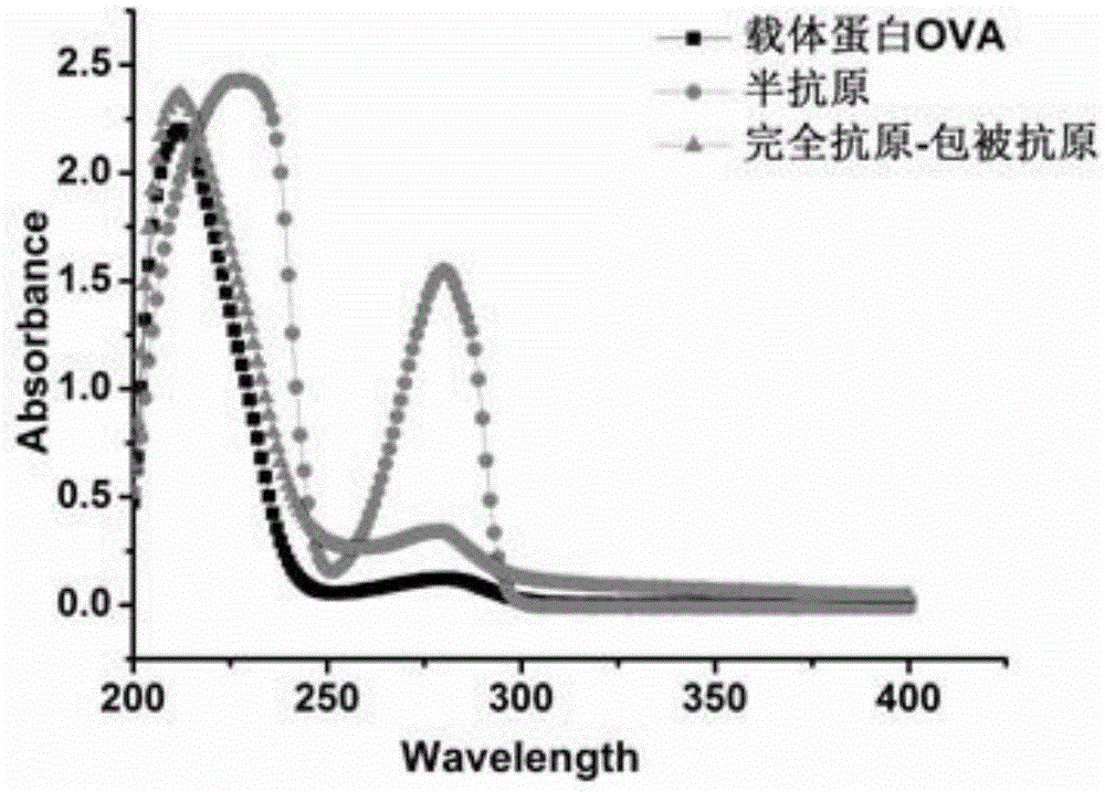 Universal artificial hapten and artificial complete antigen for capsaicins and application thereof