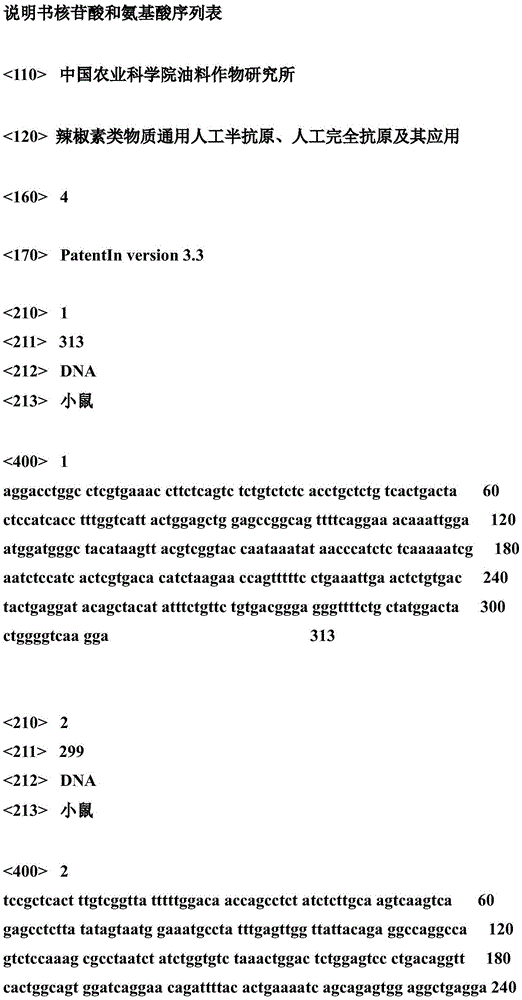 Universal artificial hapten and artificial complete antigen for capsaicins and application thereof