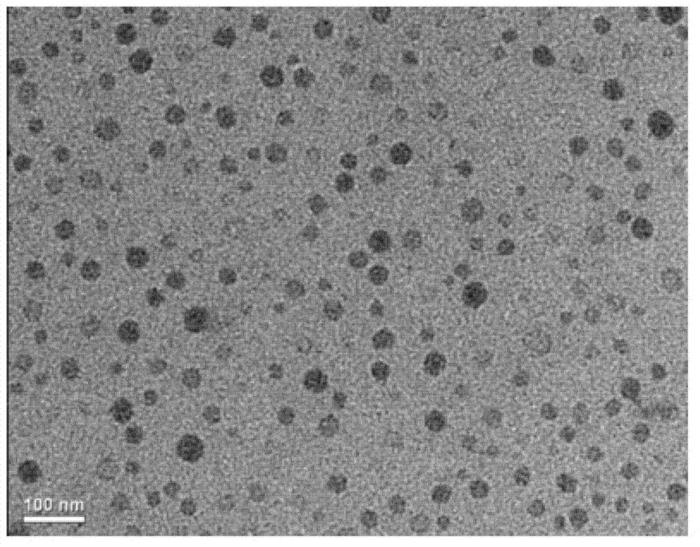 Nitrogen-doped carbon nanometer particle as well as preparation method and application thereof