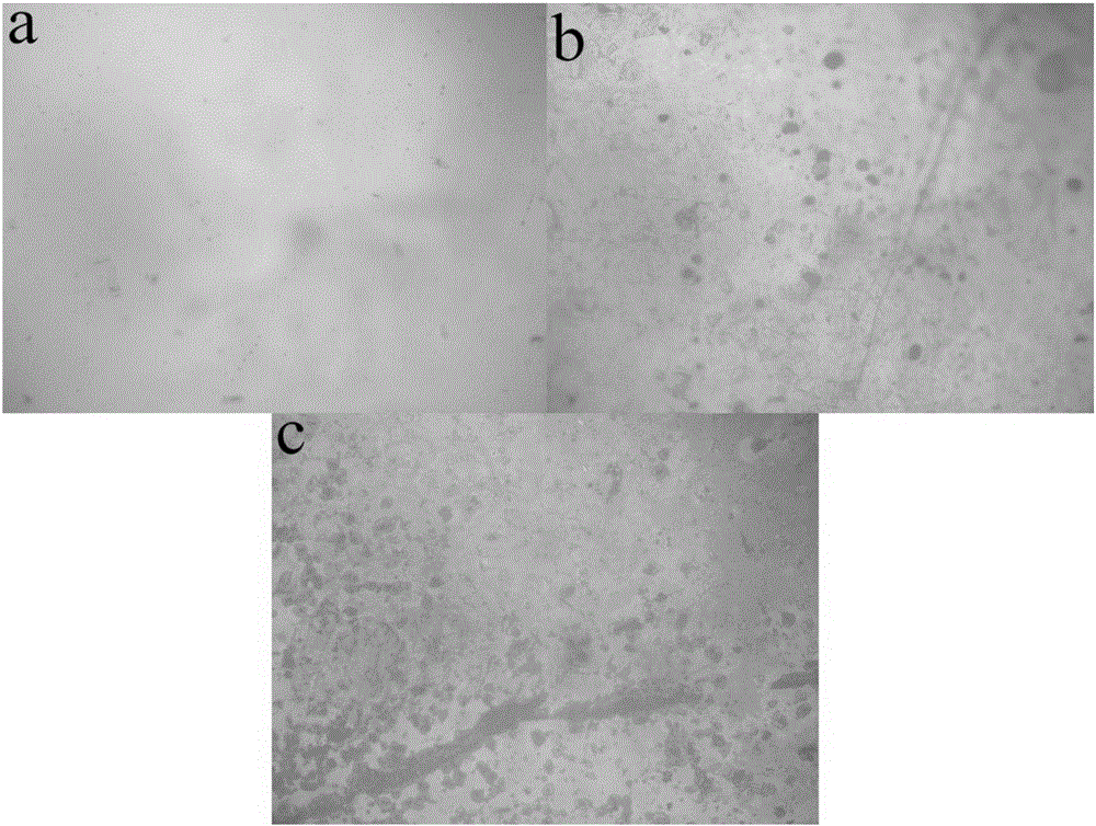 High-voltage anti-corrosion electrolyte and preparing method and application thereof