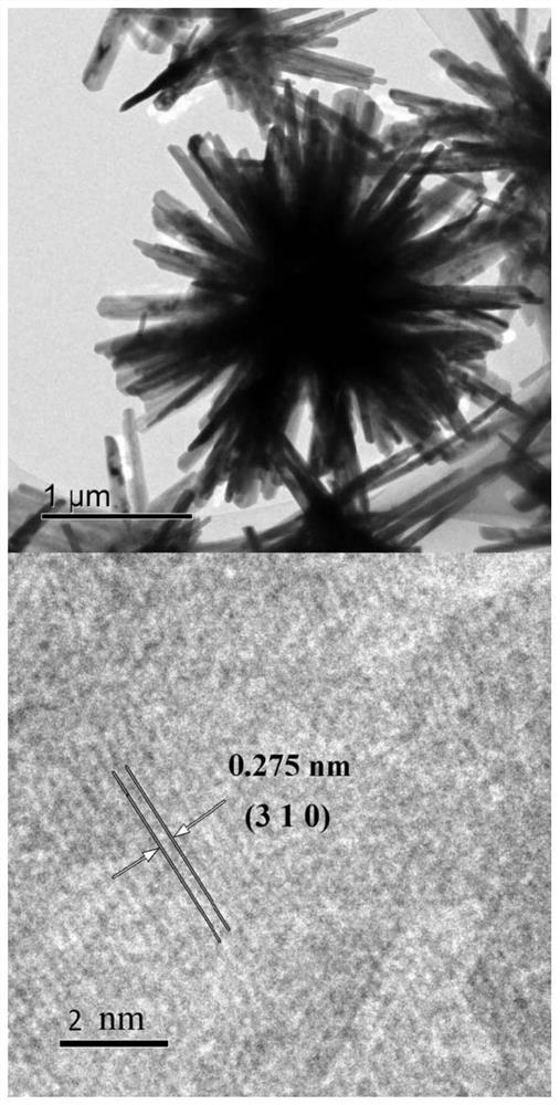 A three-dimensional flower-shaped zinc hydroxyfluoride material and its preparation method and application in gas sensing detection