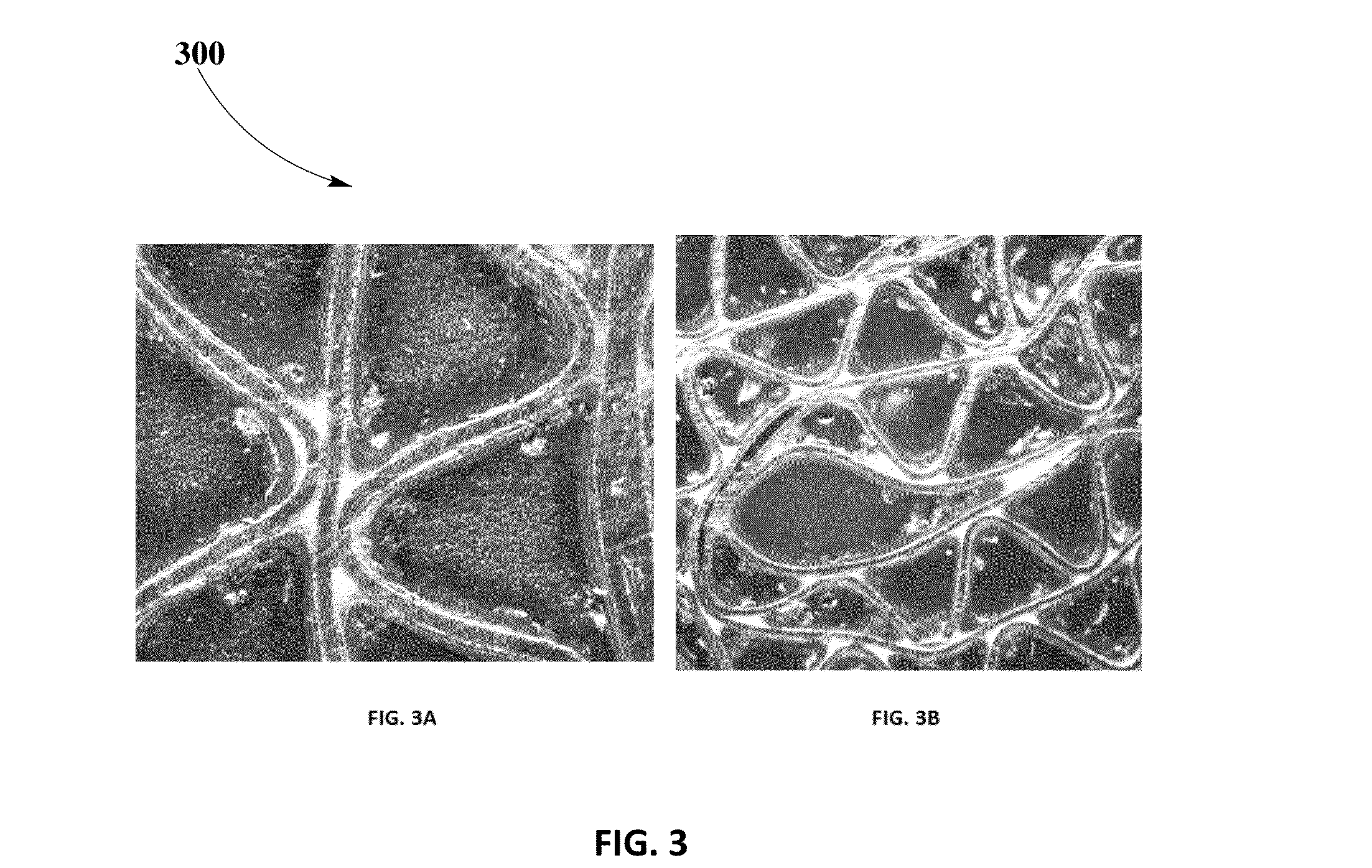 Minimizing Washcoat Adhesion Loss of Zero-PGM Catalyst Coated on Metallic Substrate