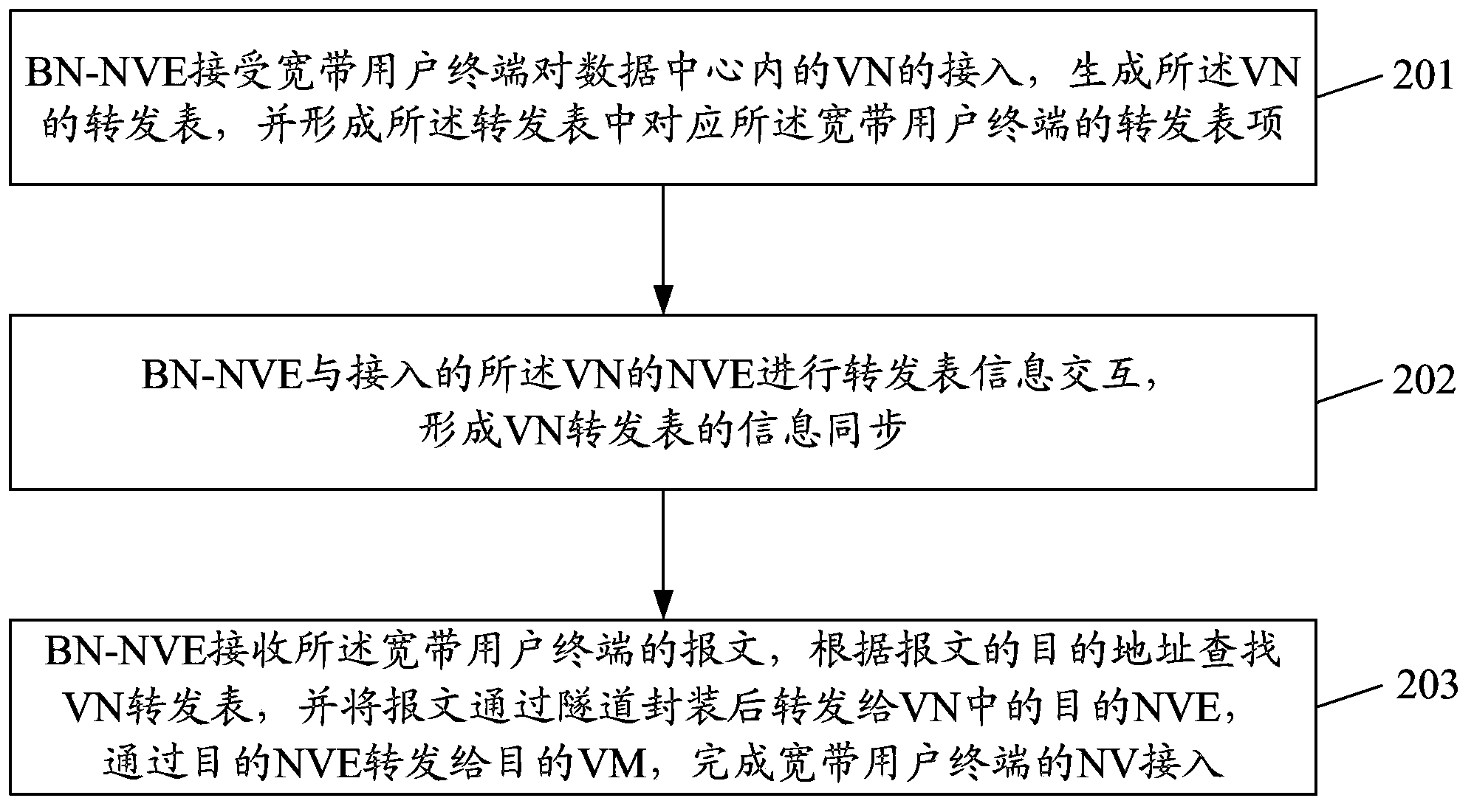 Virtual network access method and system