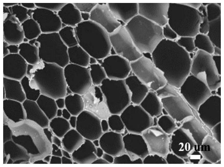 Preparation method of palladium-wood film capable of synchronously carrying out oil-water separation and dye degradation