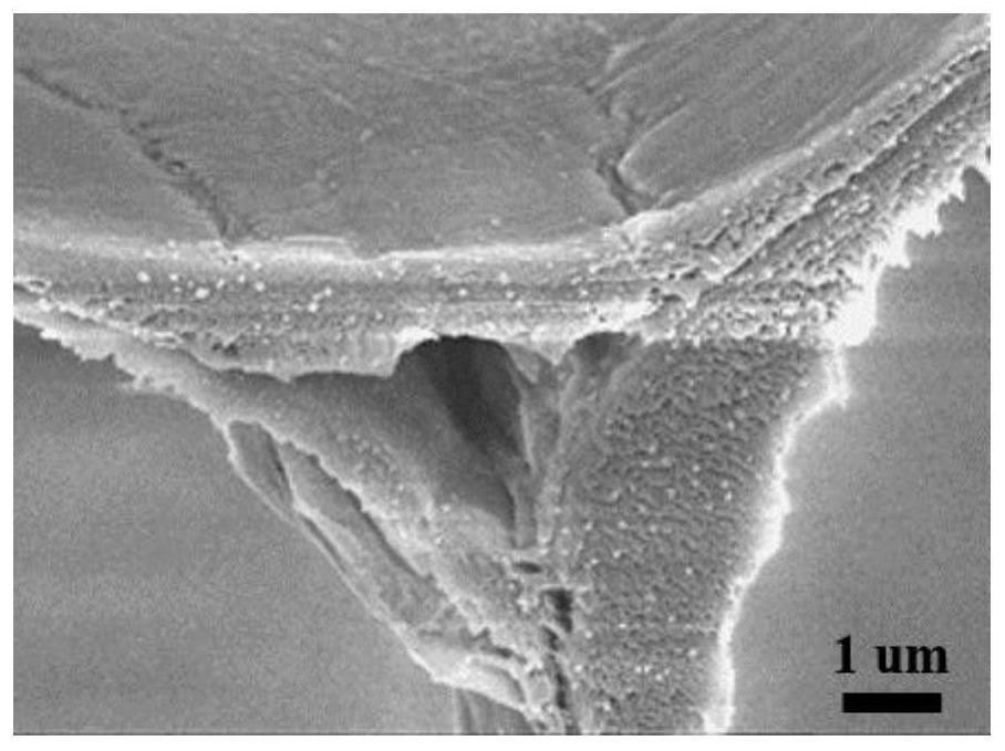 Preparation method of palladium-wood film capable of synchronously carrying out oil-water separation and dye degradation