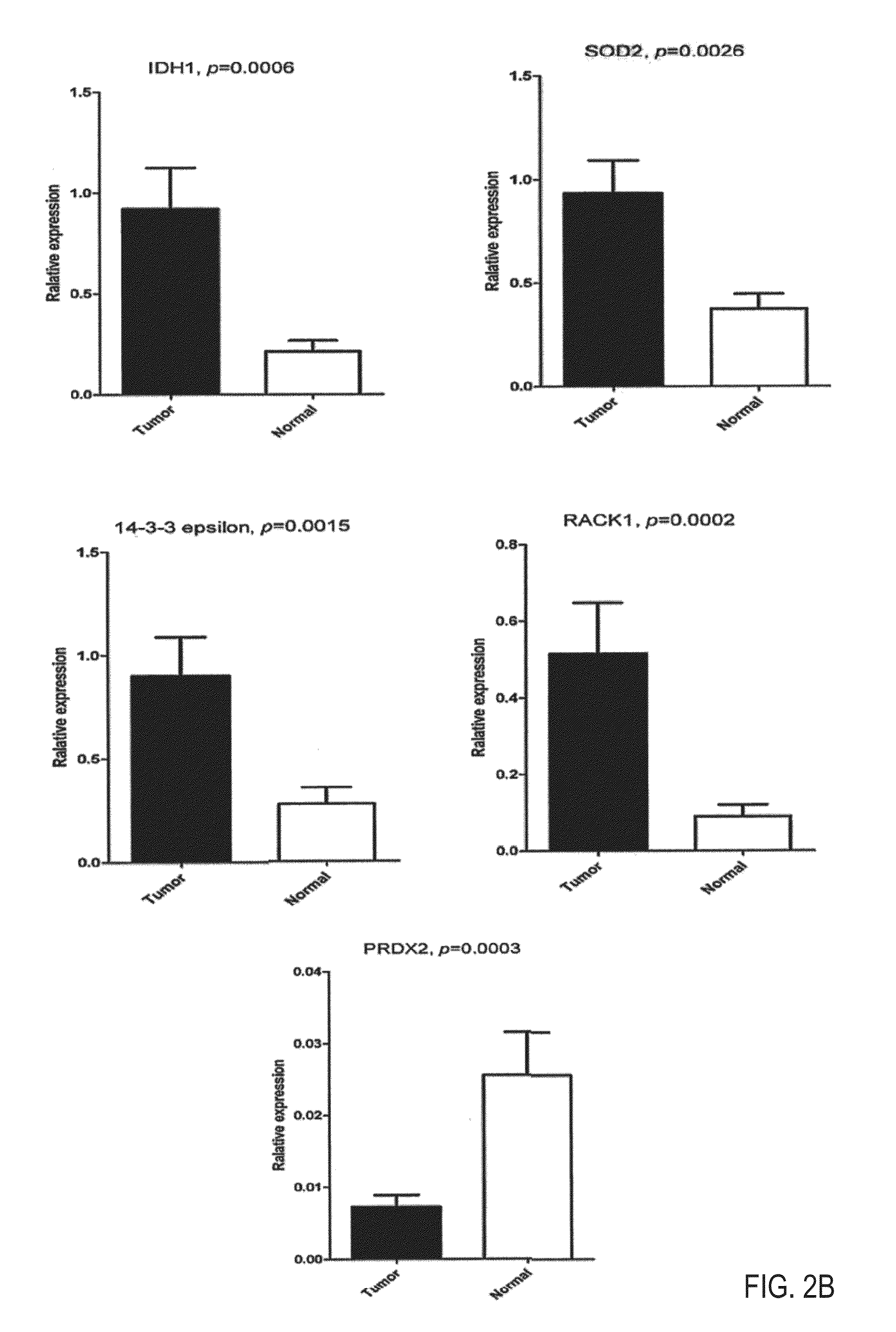 Use of isocitrate dehydrogenase 1 as a diagnostic and prognostic biomarker and therapeutic target for lung cancers