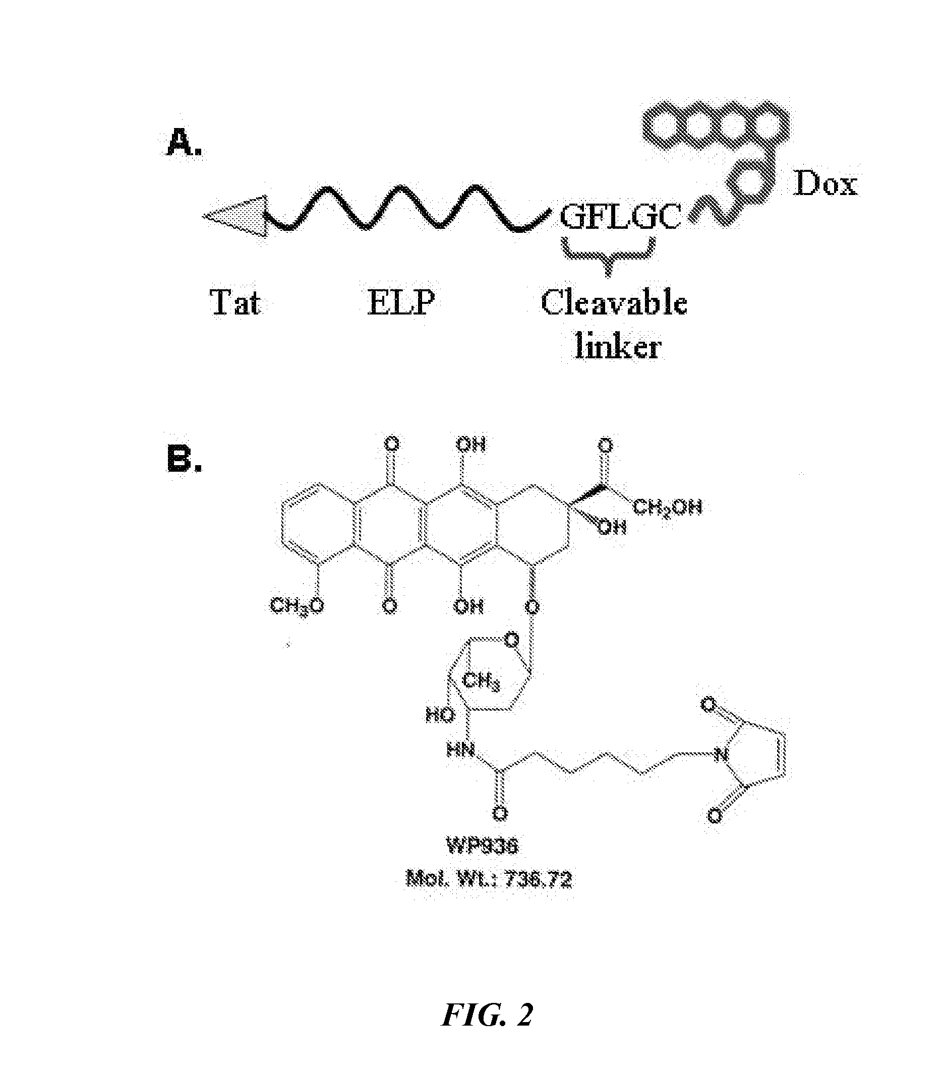 Thermally-targeted delivery of medicaments including doxorubicin