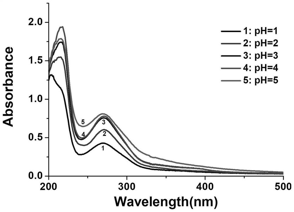 Chitosan-gallic acid graft copolymer as well as preparation method and application thereof