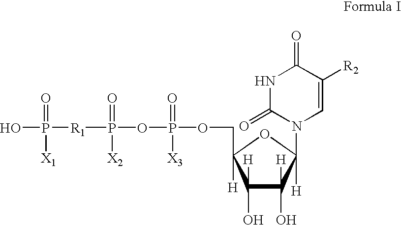 Method of enhancing drainage of lacrimal system with purinergic receptor agonists