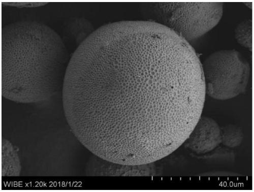 Pit-hole composite micro-nano-structure polysaccharide microsphere and preparation method