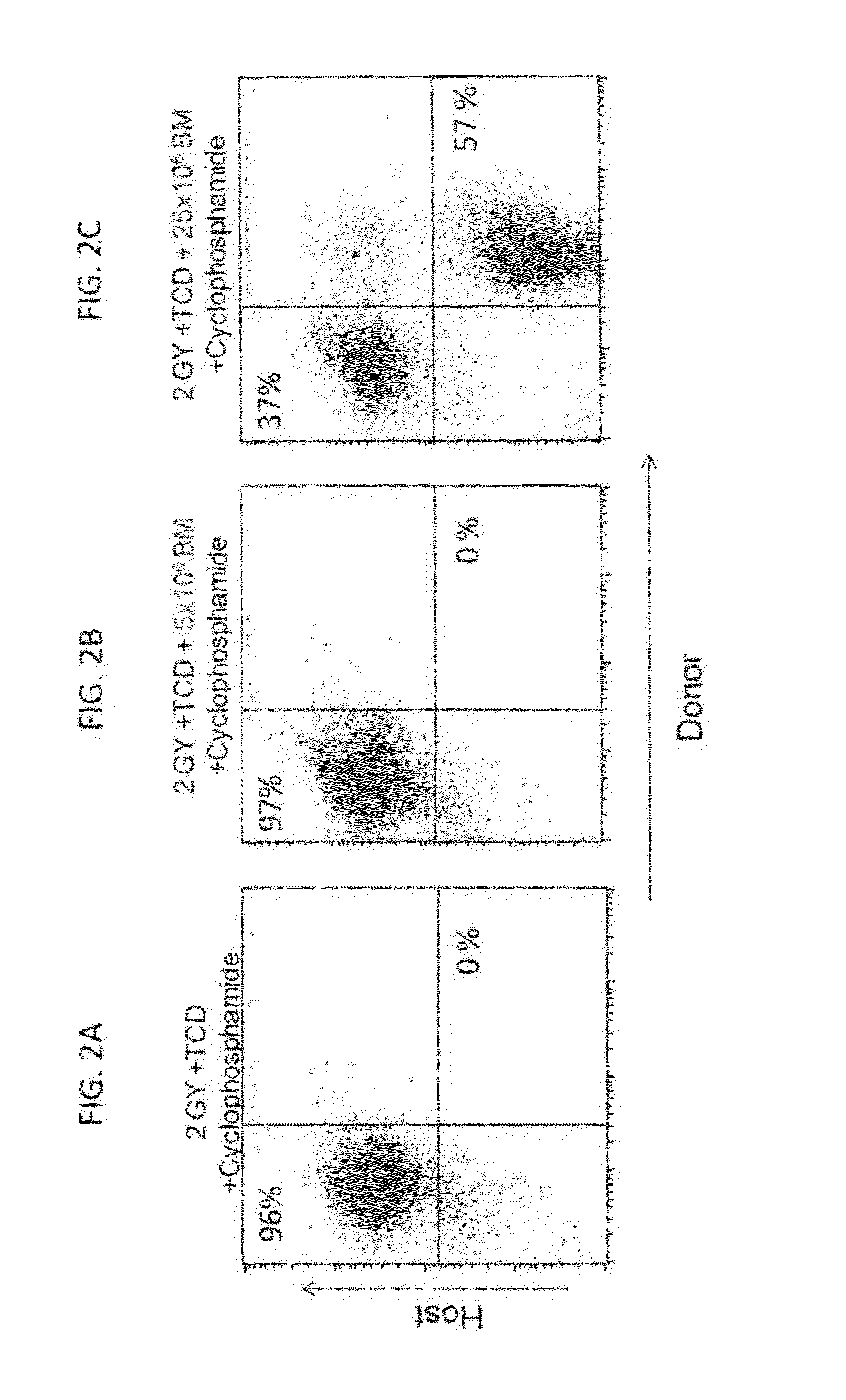 Combination therapy for a stable and long term engraftment using specific protocols for t/b cell depletion