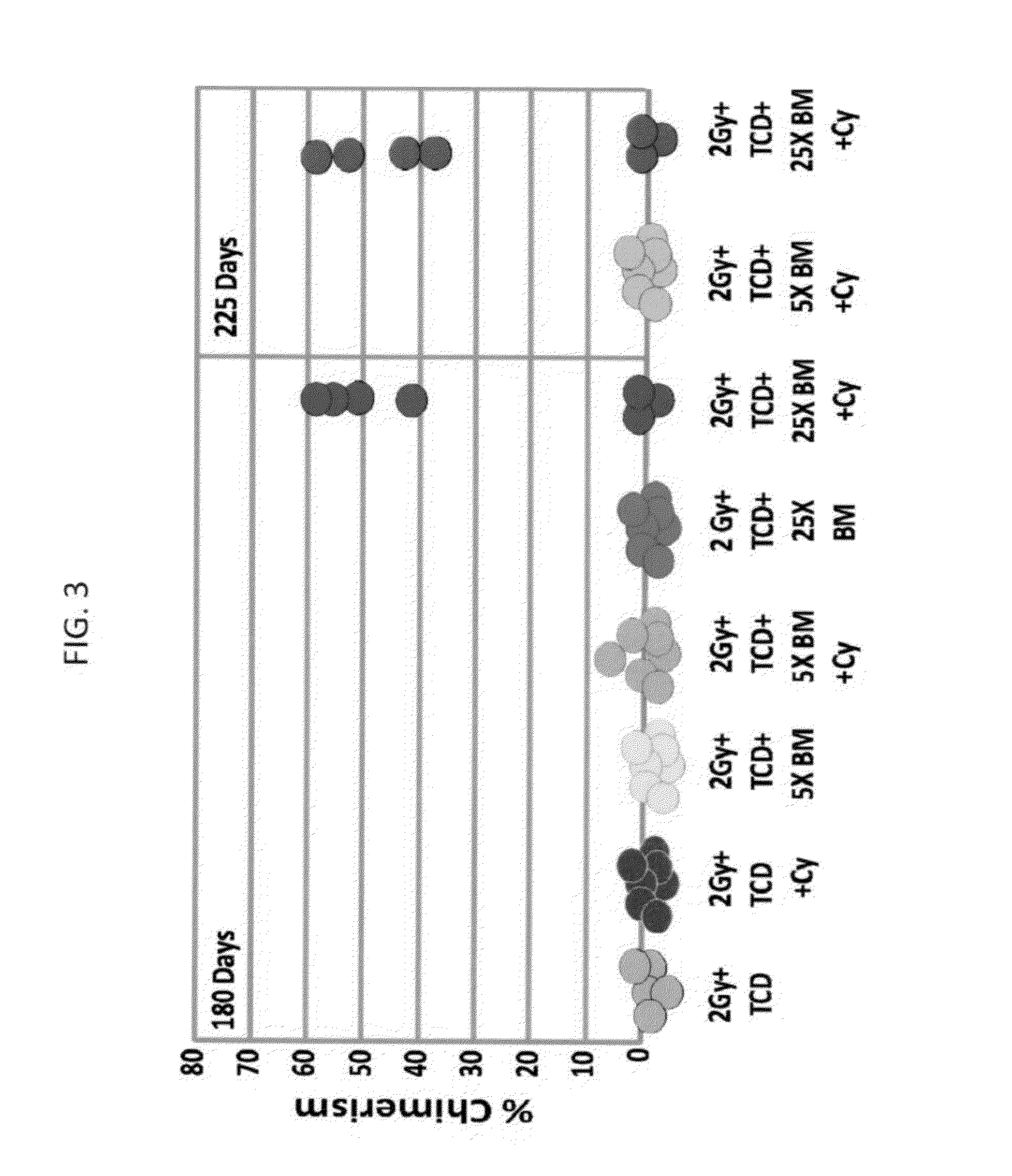 Combination therapy for a stable and long term engraftment using specific protocols for t/b cell depletion