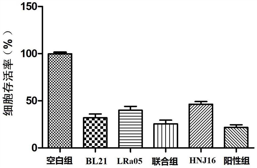 Application of bifidobacterium longum BL21 and microbial inoculum containing bifidobacterium longum BL21 in preparation of products for preventing, relieving or treating colorectal cancer