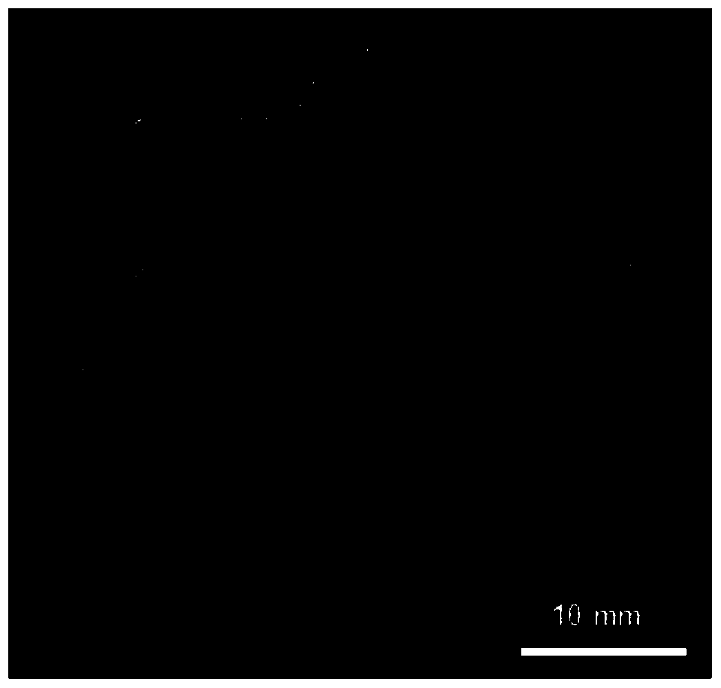 Hydrous zirconium oxide/strontium alginate composite gel bead, and preparation method application thereof