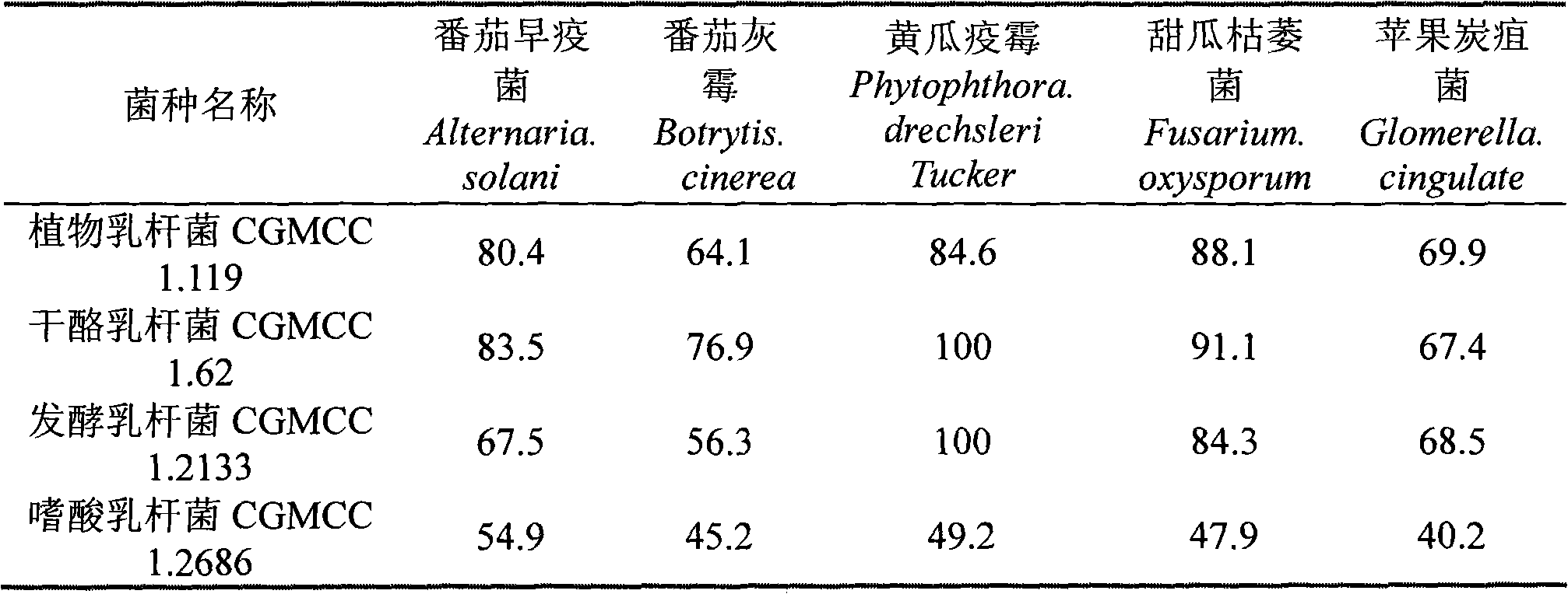 Method for preparing plant pathomycete zymotic fluid produced by lactobacillus