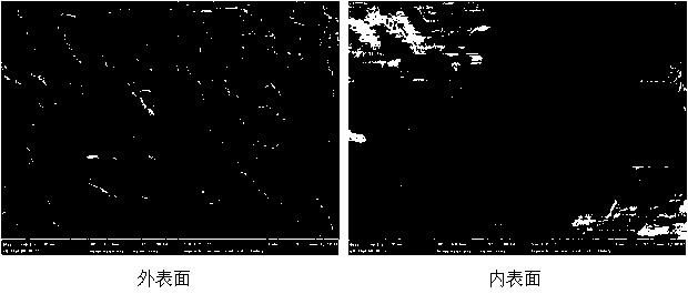 Preparation method of teflon hollow fiber membrane for membrane distillation