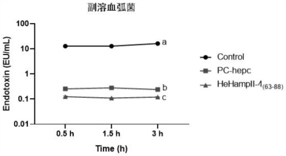 Antibacterial peptide HeHampII-4 (63-88) and application thereof