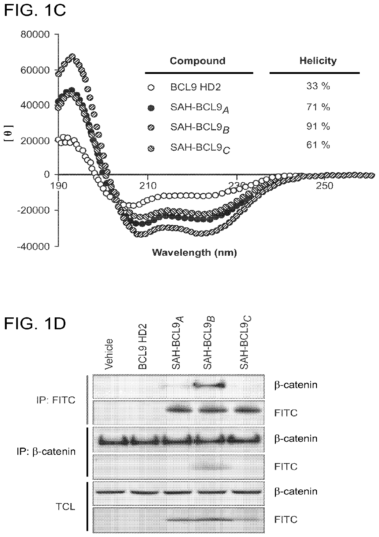 Targeting deregulated wnt signaling in cancer using stabilized alpha-helices of bcl-9