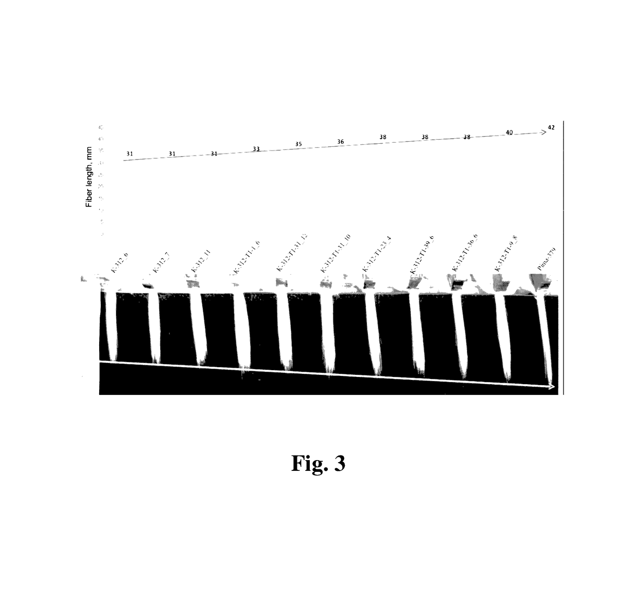 Cotton <i>PHYA1 RNAi </i>improves fiber quality, root elongation, flowering, maturity and yield potential in <i>Gossypium hirsutum </i>L