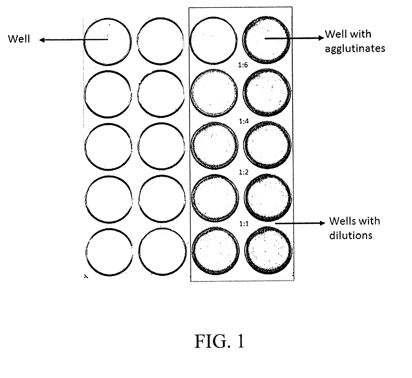 Method for analyzing image data relating to agglutination assays