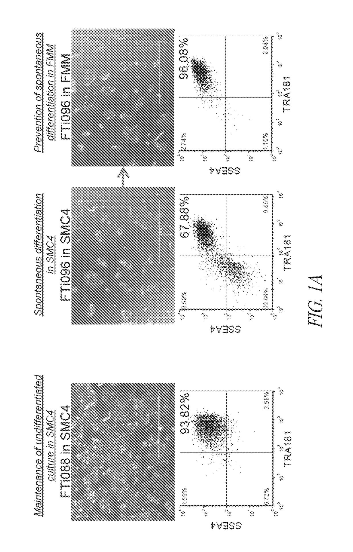 Improved reprogramming methods and cell culture platforms