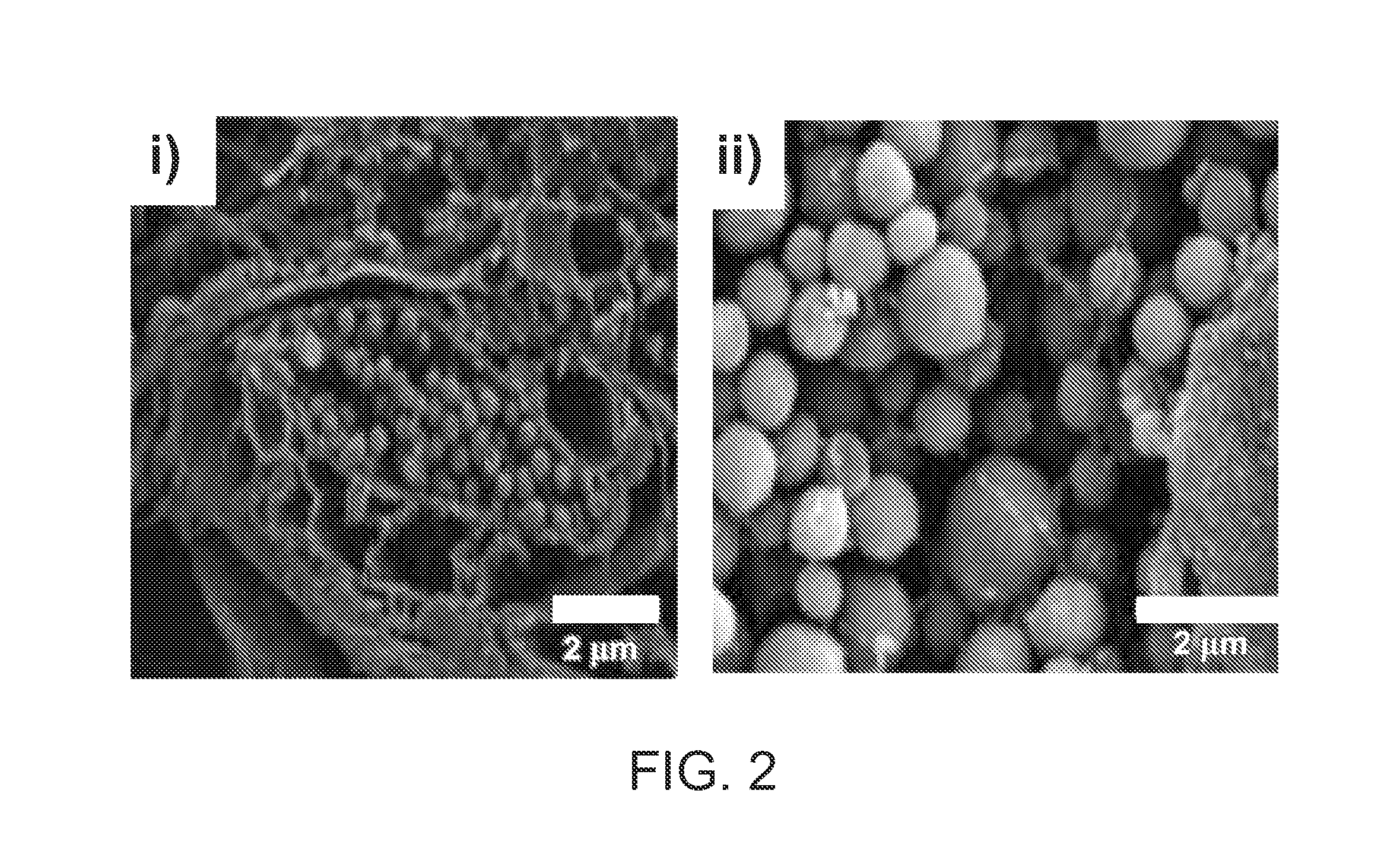 Pigment structures, pigment granules, pigment proteins, and uses thereof