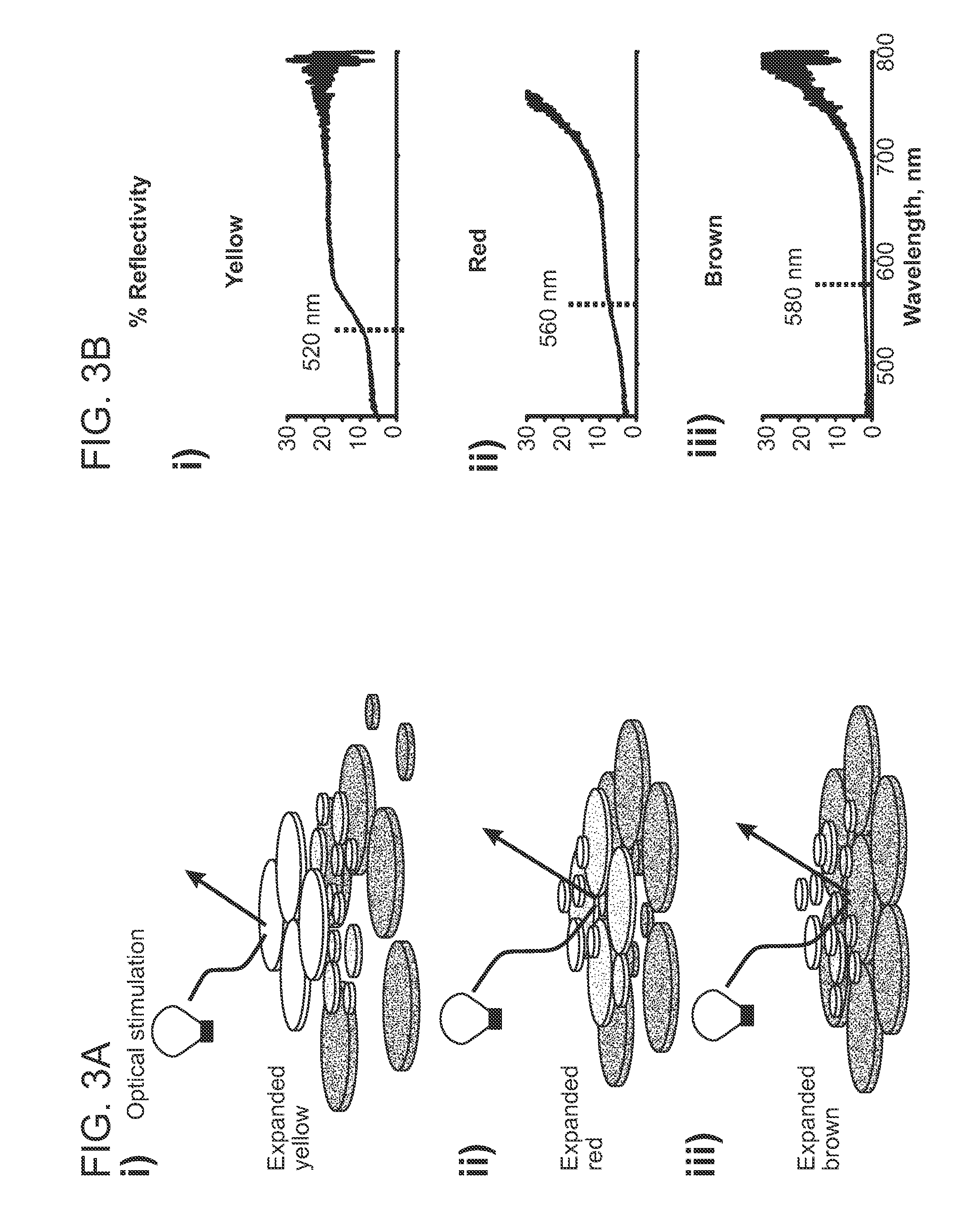 Pigment structures, pigment granules, pigment proteins, and uses thereof