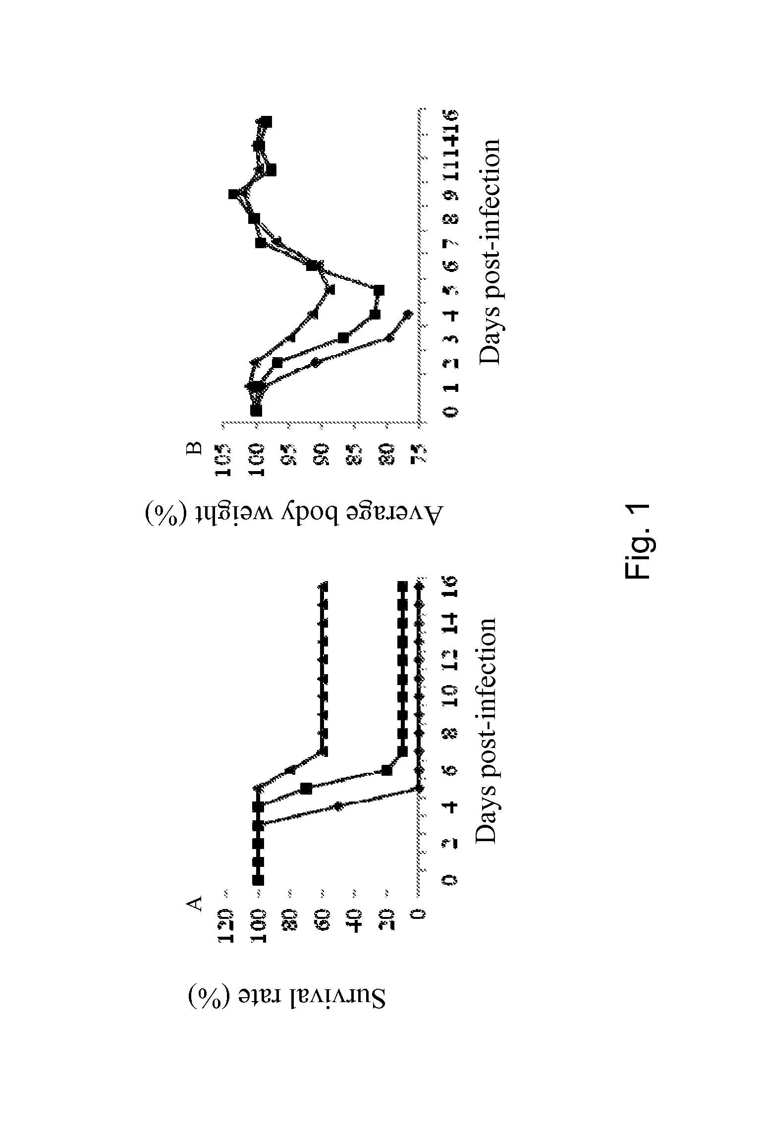 Influenza vaccine, composition, and methods of use