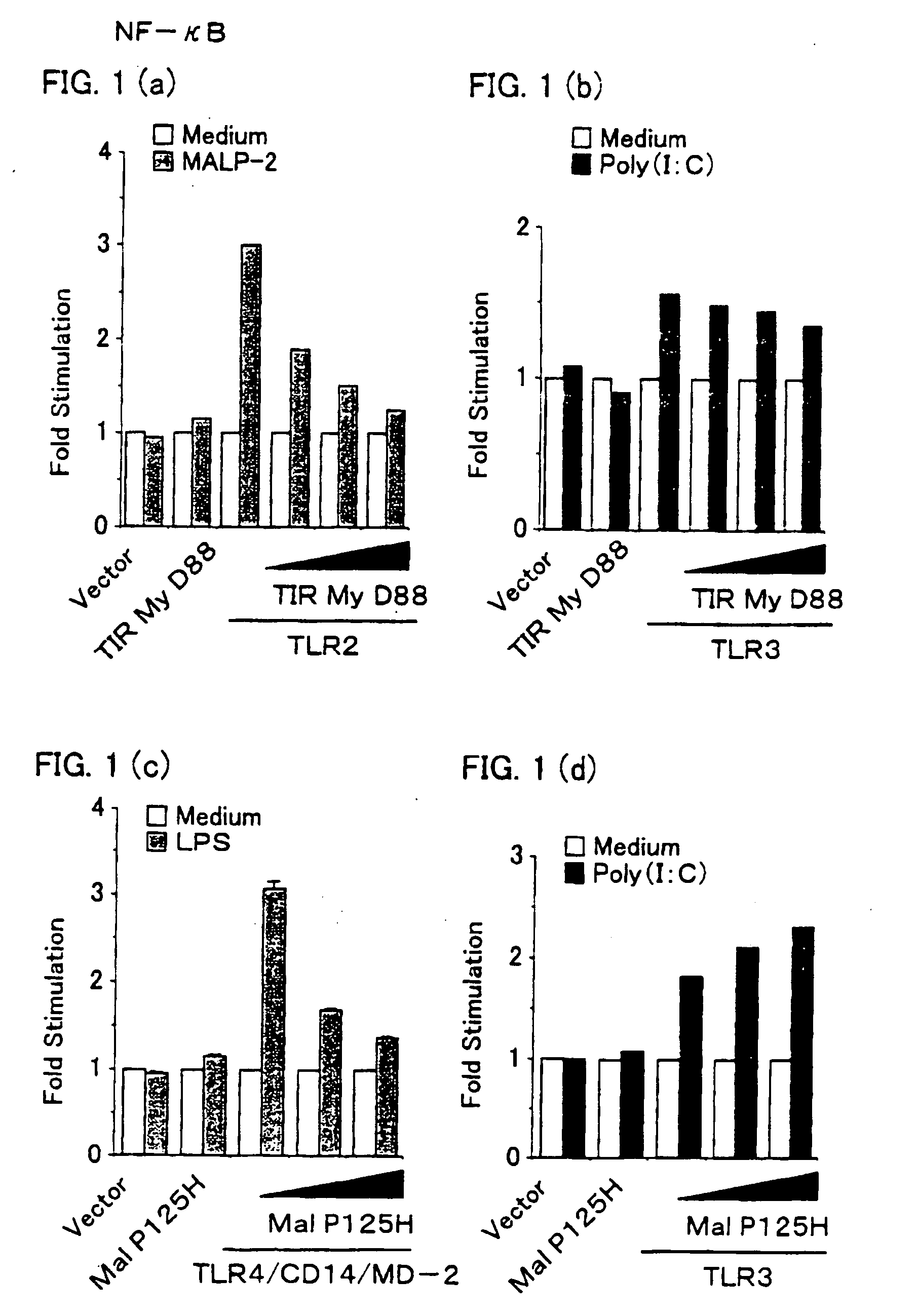 Novel adaptor protein binding to mammalian toll-like receptor 3, and gene thereof