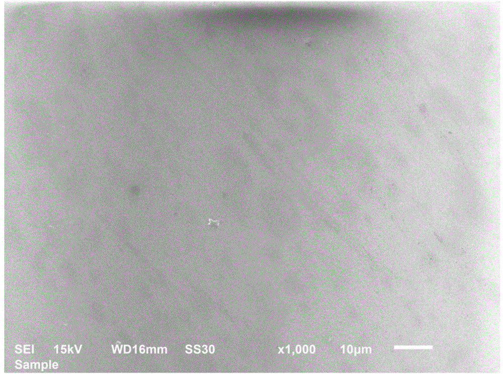 Preparation method of self-cleaning coating and self-cleaning glass