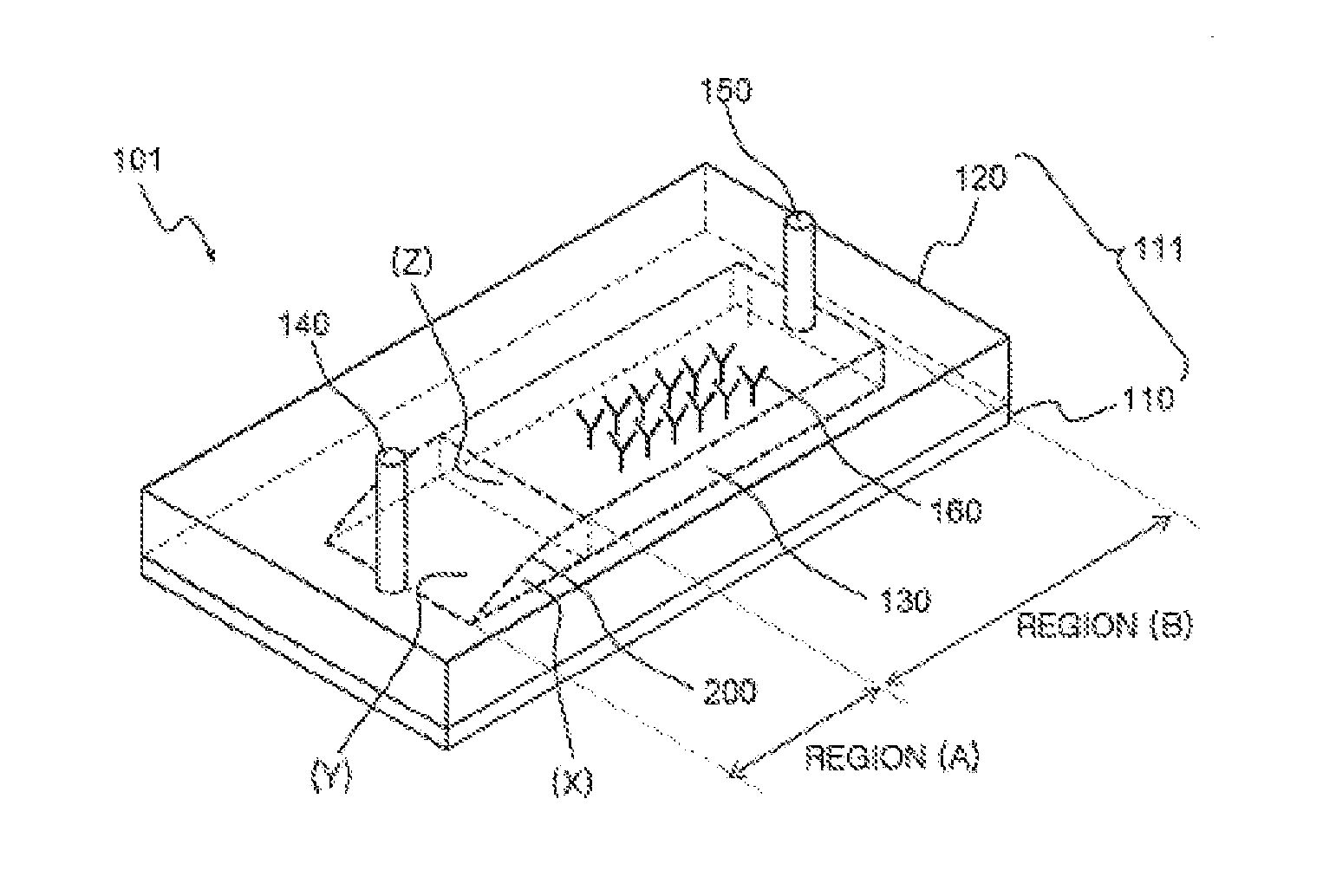 Fluid sensor preventing generation of air bubbles