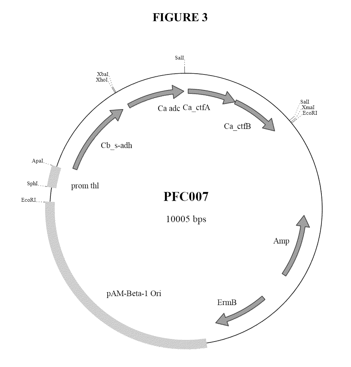 Production of isopropanol by improved recombinant strains