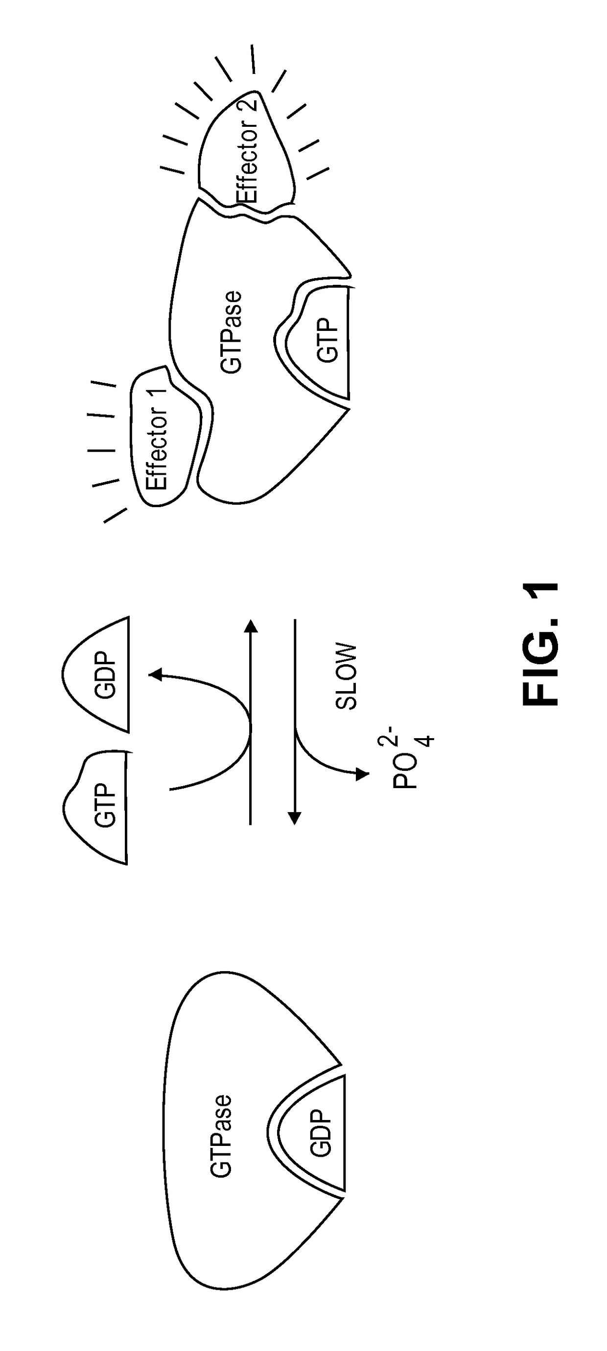 Methods and compositions for inhibition of ras