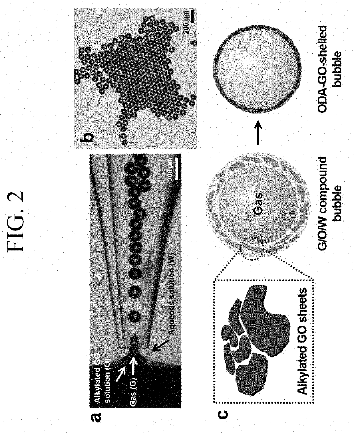 Microbubble integrated structure and method of manufacturing the same