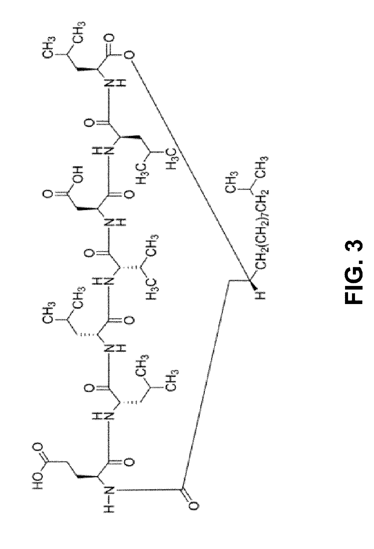 Medical material and method for preparing from biological tissue