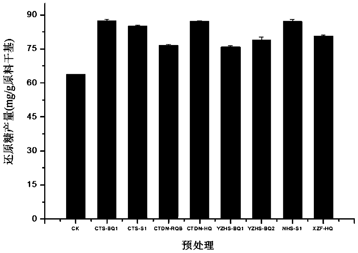 A strain of Bacillus that promotes the enzymatic hydrolysis of water hyacinth hydrangea to produce sugar and its application