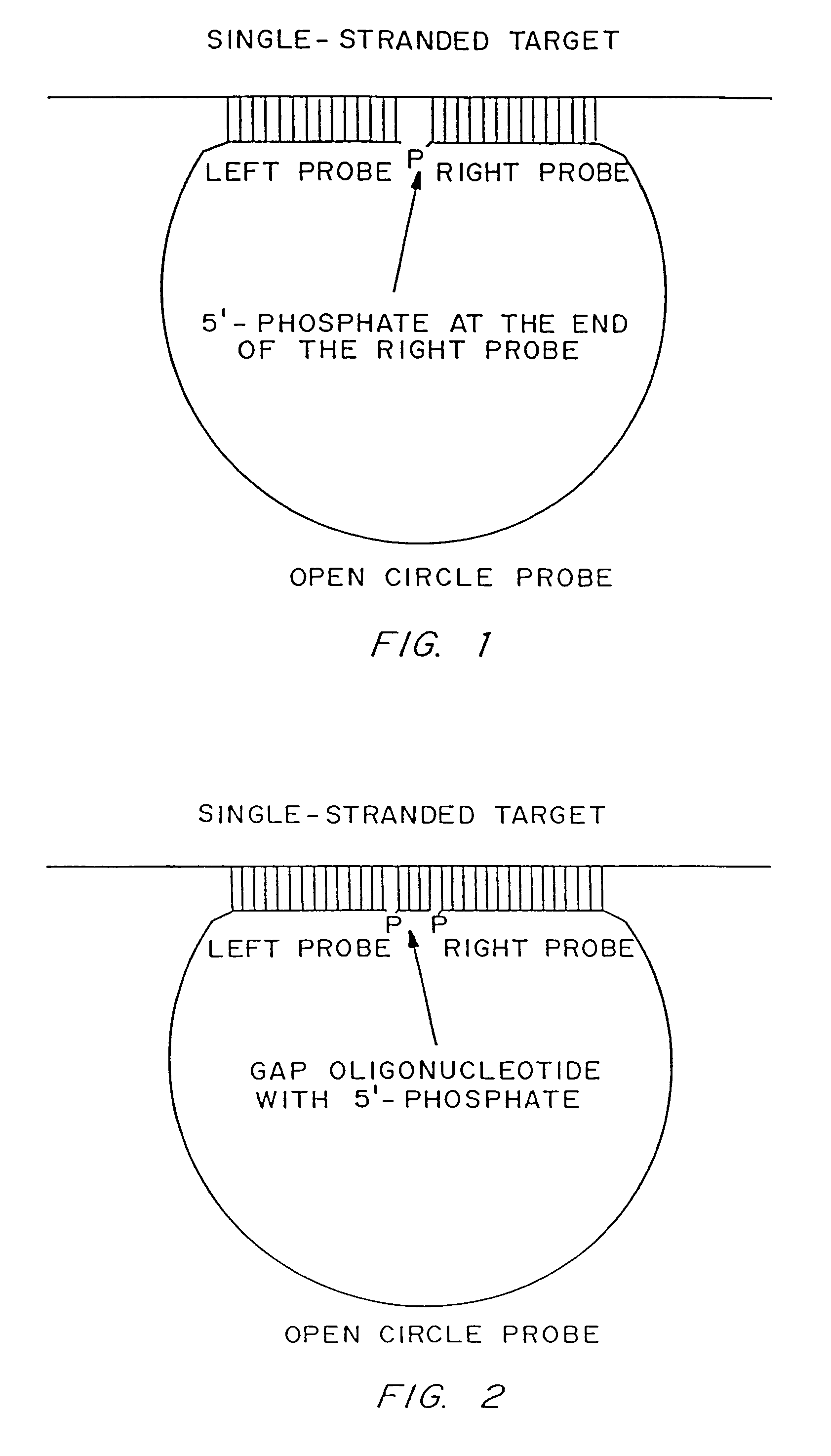 Rolling circle replication reporter systems