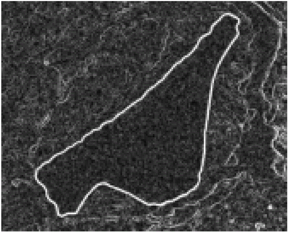 Polar iceberg remote sensing identification method based on double-bubble method