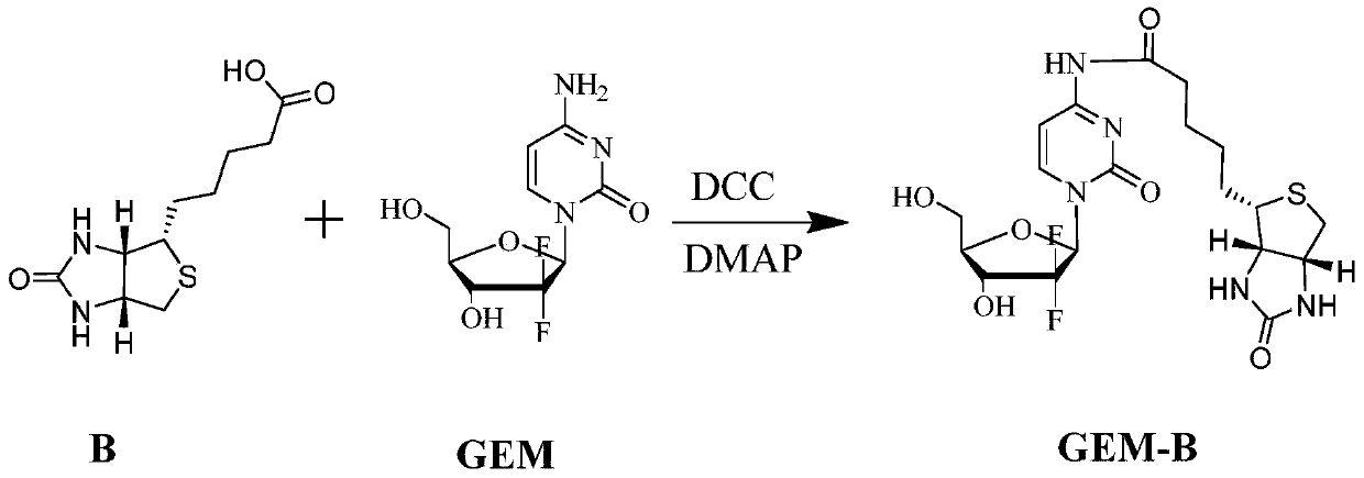 Gemcitabine prodrug with tumor targeting properties and preparation method and application thereof