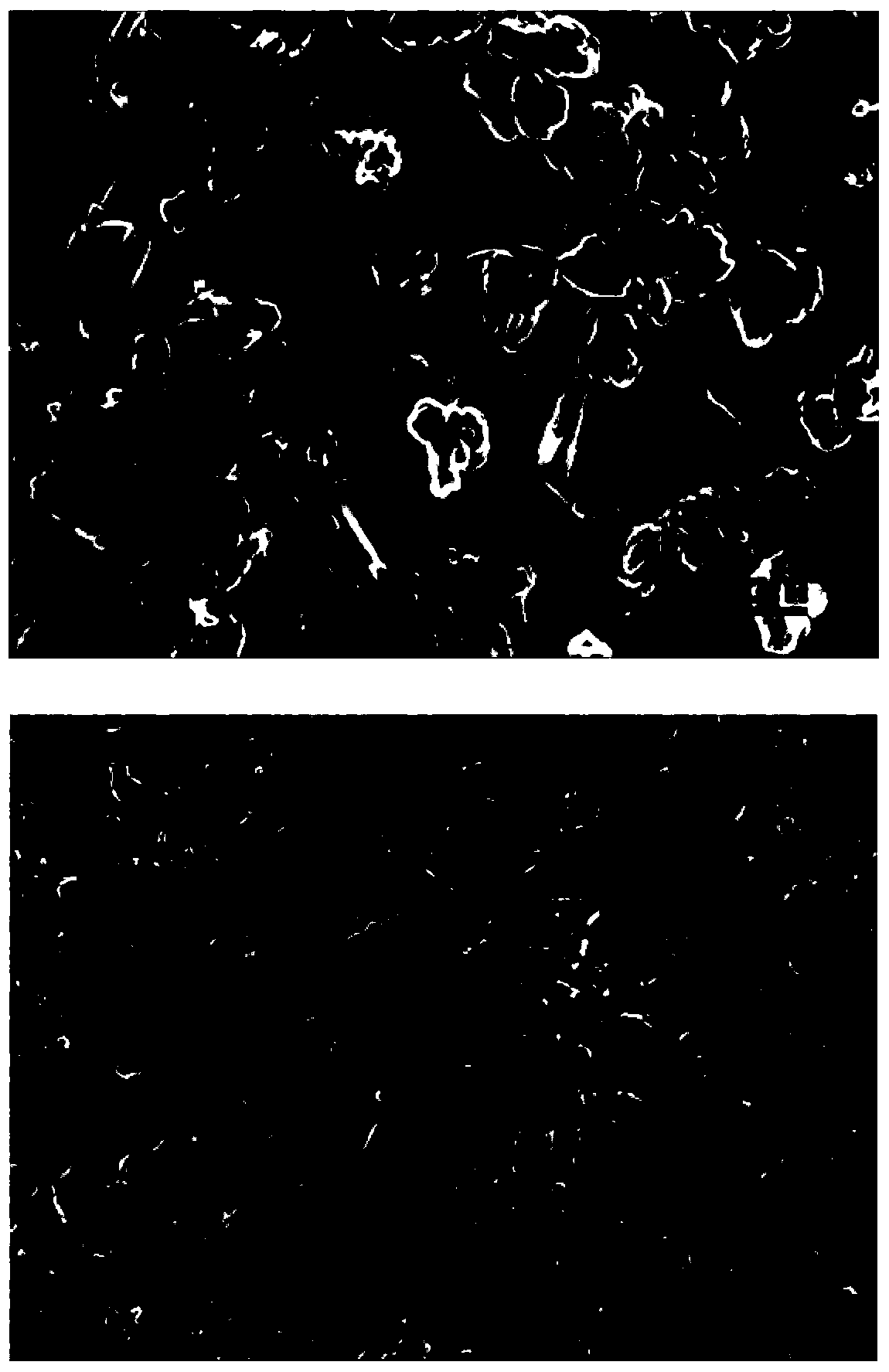 A metal lithium anode with a high specific surface protection layer and a preparation method thereof