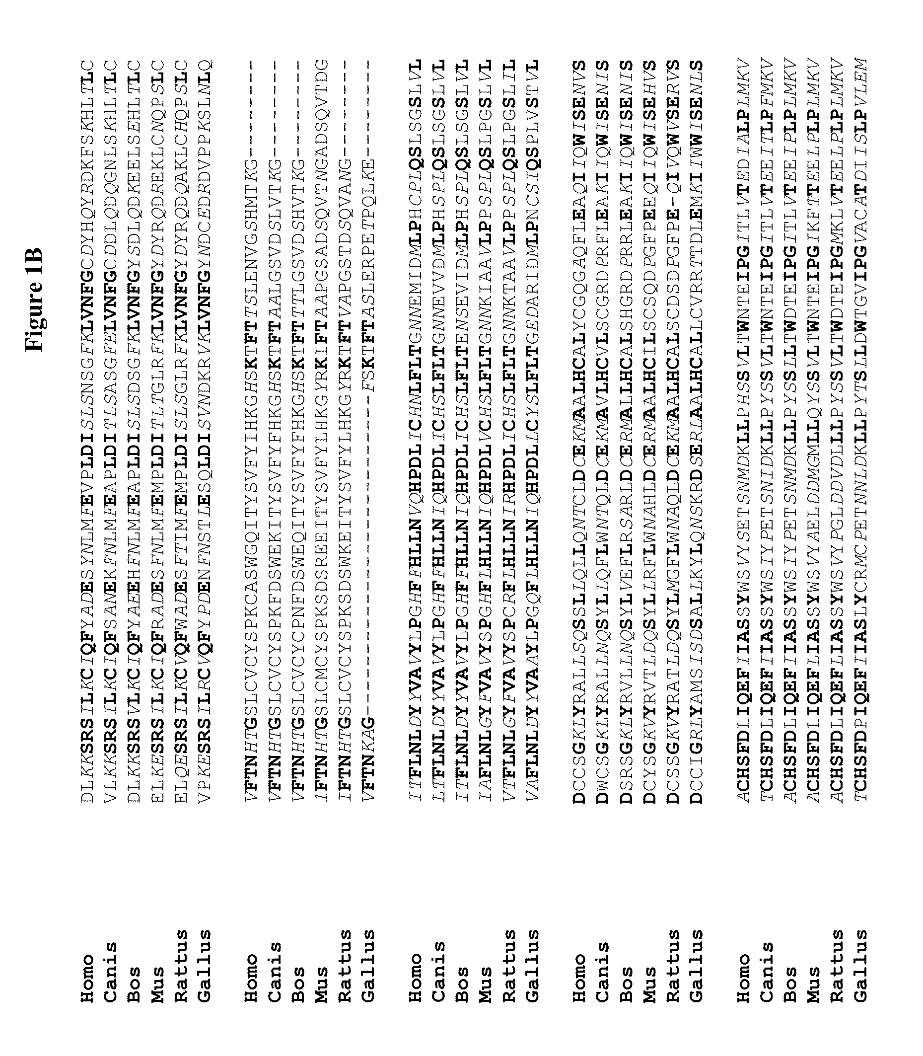 Novel regulatory proteins and inhibitors