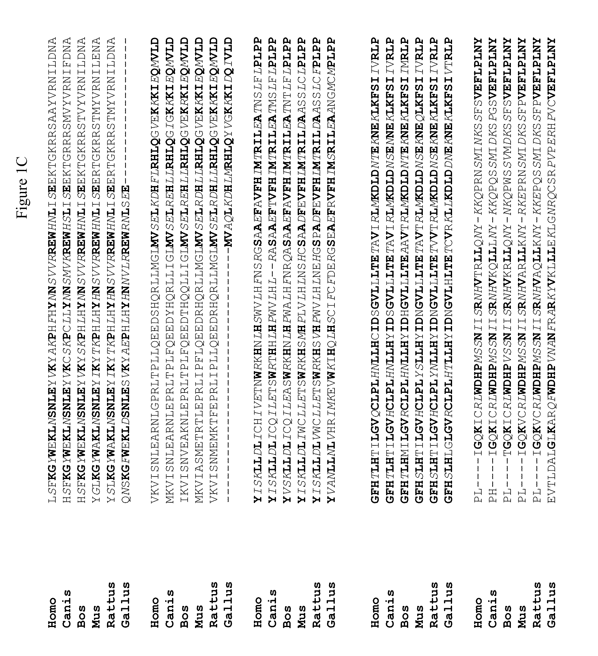 Novel regulatory proteins and inhibitors