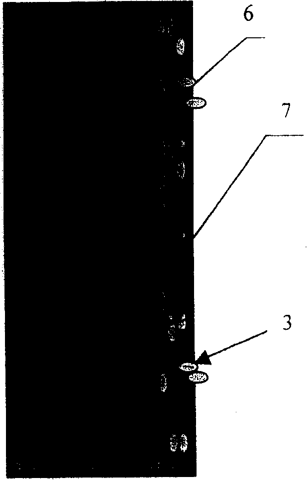 Biological active material for realizing percutaneous device biological sealing and method for making same