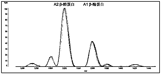 Method for identifying and breeding A2-type milk-producing livestock and method for producing A2-type milk by using A2-type milk-producing livestock