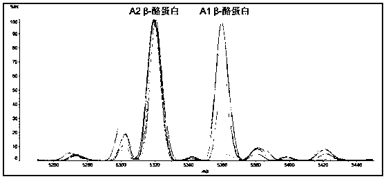 Method for identifying and breeding A2-type milk-producing livestock and method for producing A2-type milk by using A2-type milk-producing livestock