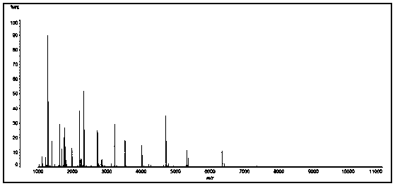 Method for identifying and breeding A2-type milk-producing livestock and method for producing A2-type milk by using A2-type milk-producing livestock