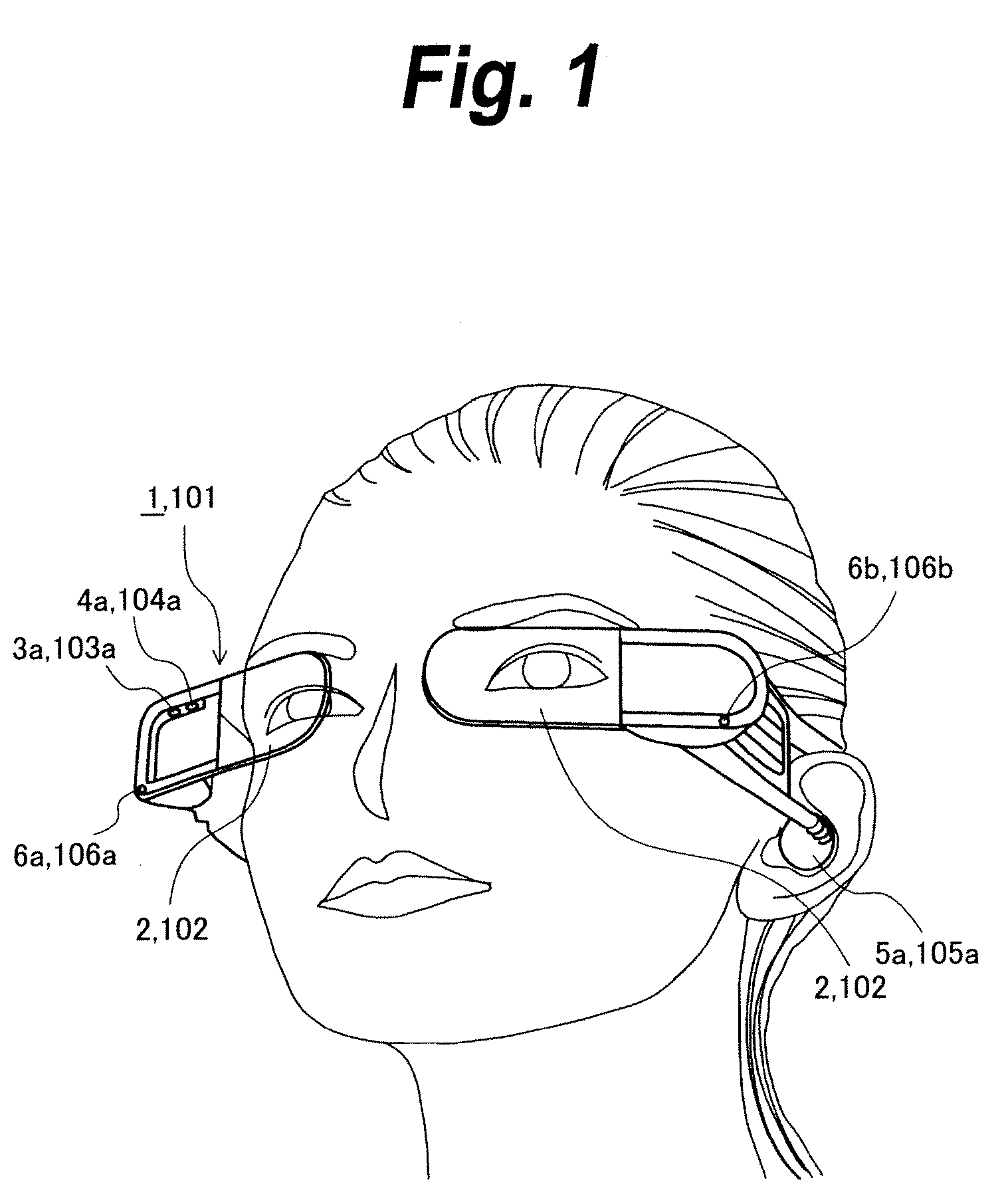 Image capturing and displaying apparatus and image capturing and displaying method