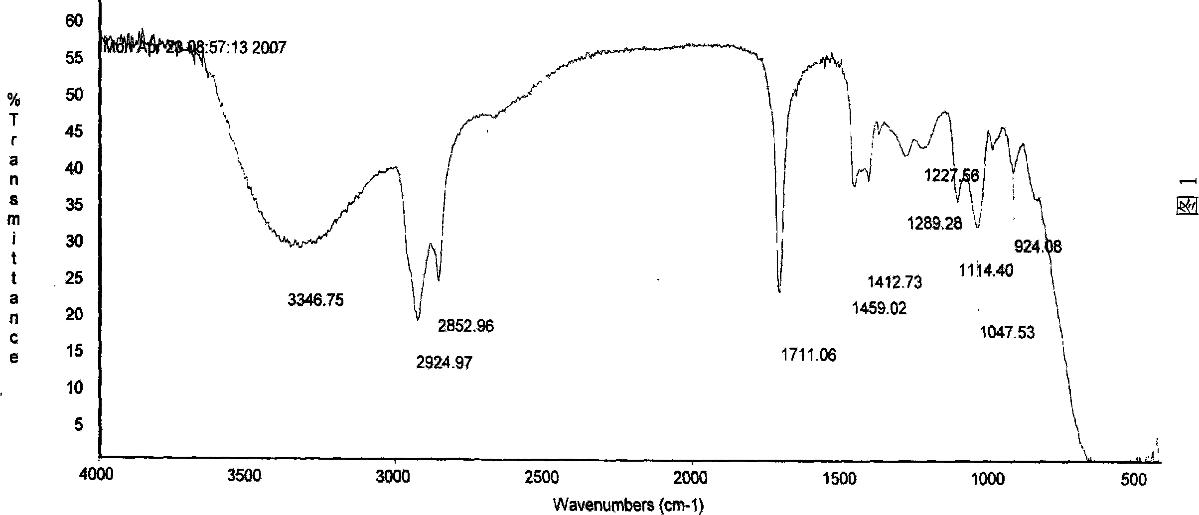 Fatty polyol dimer and its prepn process and application in foamed polyurethane plastic