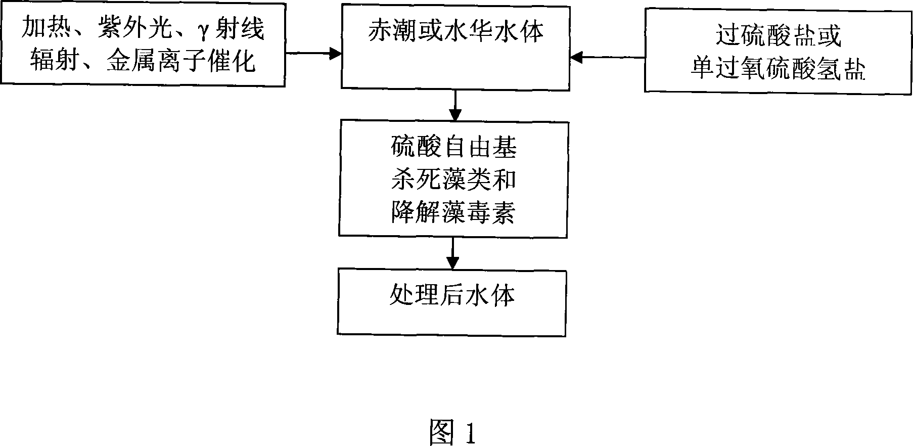 Method for processing red tide with sulphuric acid free radical