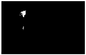 New preparation method for artificial stress corrosion crack accordant with true crack shape